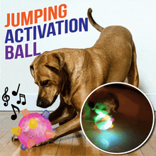 Load image into Gallery viewer, Dotmalls⢠Pet Ball Endless Entertainment for Your Furry Friend!
