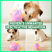 Load image into Gallery viewer, Dotmalls⢠Pet Ball Endless Entertainment for Your Furry Friend!