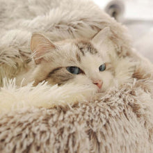 Load image into Gallery viewer, Dotmalls CozyPaws