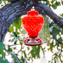 Load image into Gallery viewer, Hand Blown Glass Hummingbird Feeder  - 38 Ounces 
