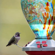 Load image into Gallery viewer, Hand Blown Glass Hummingbird Feeder - 34 Ounces
